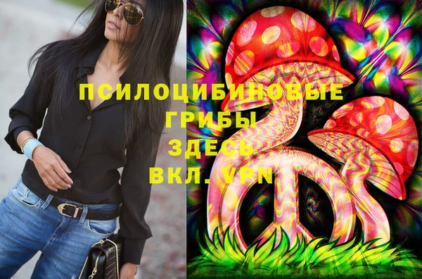 хмурый Алексеевка