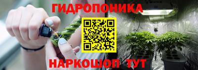 хмурый Кандалакша