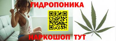 ГАЛЛЮЦИНОГЕННЫЕ ГРИБЫ Камышлов