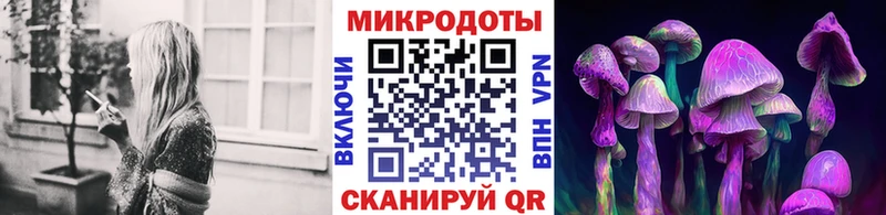 Псилоцибиновые грибы Psilocybine cubensis  Арсеньев 